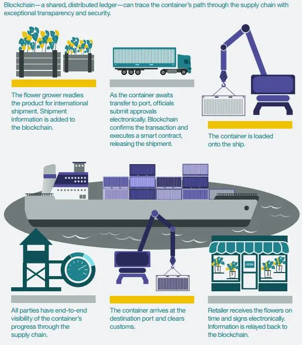 Blockchain Ecosystem